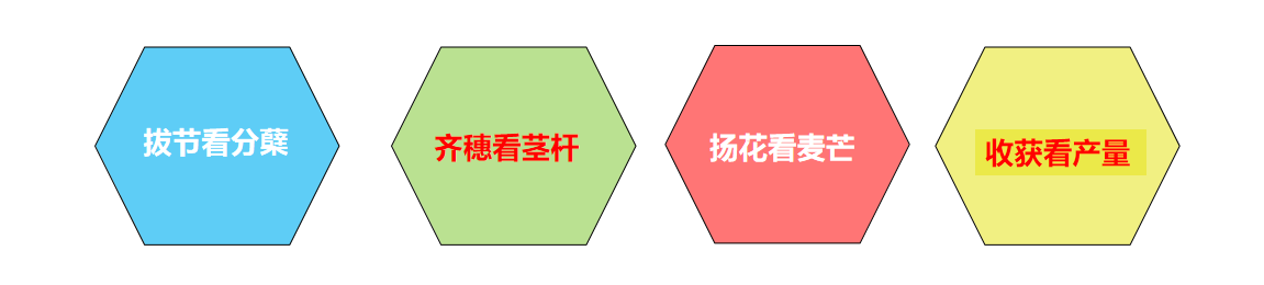 港澳免费资科大全