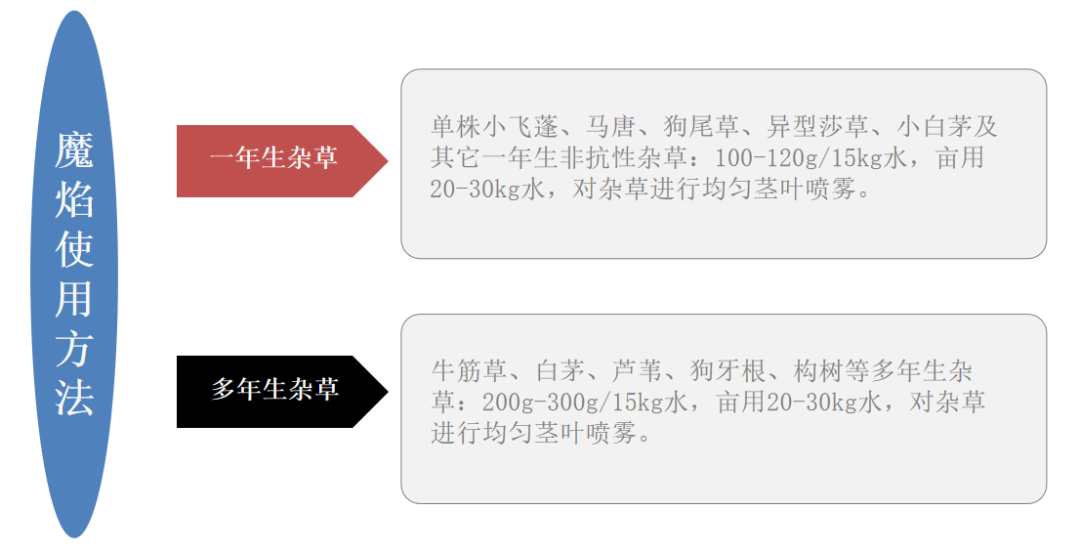 港澳免费资科大全