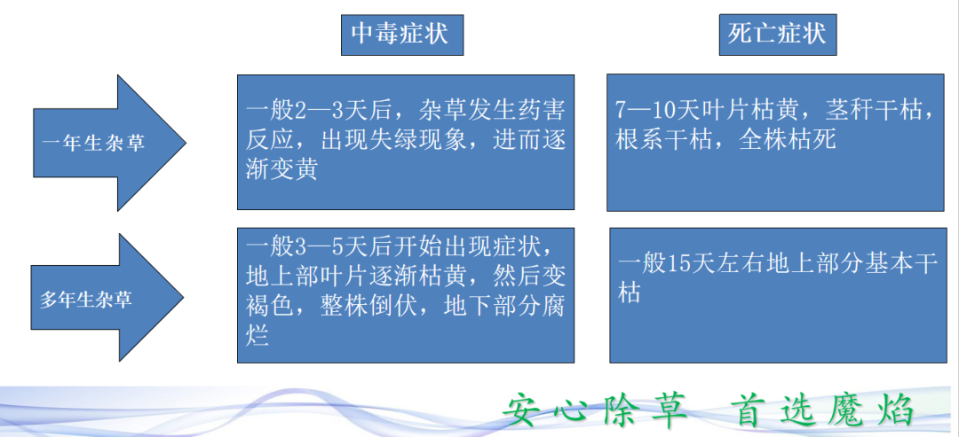 港澳免费资科大全